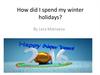 How did I spend my winter holidays?