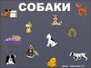 Собаки. Породы собак