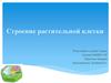 Строение растительной клетки
