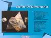 Виды многогранников