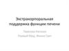 Экстракорпоральная поддержка функции печени