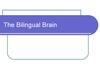 The Bilingual Brain