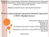 Отчет о прохождении производственной практики  в ООО «Профессионал». Экскаватор гидравлический  одноковшовы с обратной лопатой