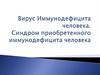 Вирус иммунодефицита человека. Синдром приобретенного иммунодефицита человека