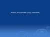 Стратегический анализ внутренней среды компании