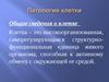 Общие сведения о клетке. Патология клетки