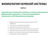 Физиология нервной системы. Часть 2