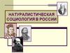 Особенности развития позитивизма на российской почве