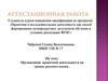 Аттестационная работа. Организация проектной деятельности на уроках русского языка