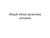 Обзор организма человека
