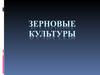 Зерновые культуры