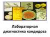 Лабораторная диагностика кандидоза