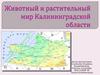 Животный и растительный мир Калининградской области