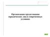 Организация кредитования юридических лиц в современных условиях