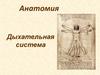 Анатомия. Дыхательная система