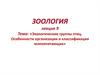 Экологические группы птиц. Особенности организации и классификация млекопитающих