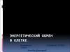 Энергетический обмен в клетке