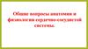 Общие вопросы анатомии и физиологии сердечно-сосудистой системы