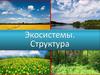 Экосистемы. Структура