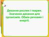 Дихання рослин і тварин. Значення дихання для організмів. Обмін речовин і енергії