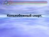Конькобежный спорт