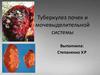 Туберкулез почек и мочевыделительной системы