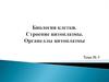 Биология клетки. Строение цитоплазмы. Органеллы цитоплазмы