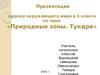 Природные зоны. Тундра. (3 класс)