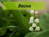 Весна. Перші ознаки весни