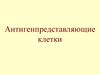 Антигенпредставляющие клетки
