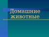 Домашние животные