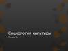 Социология культуры