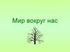 Викторина "Мир вокруг нас"