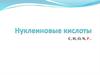 Нуклеиновые кислоты