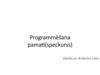 Programmēšana pamati (speckurss)