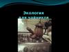 Экология для чайников