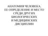 Анатомия человека, ее определение и место среди других биологических и медицинских дисциплин
