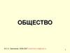 Общество. Узкое и широкое понимание