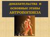 Доказательства и основные этапы антропогенеза