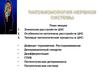 Патофизиология нервной системы