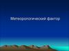 Метеорологический фактор
