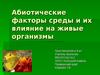 Абиотические факторы среды.Урок биологии в 9 кл