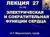 Электрическая и сократительная функции сердца. (Лекция 27)
