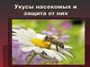 Укусы насекомых и защита от них