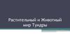 Растительный и Животный мир Тундры