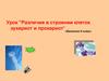 Различия в строении клеток эукариот и прокариот