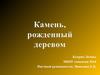 Состав и основные свойства янтаря и древесных смол