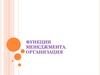 Функции менеджмента. Организация