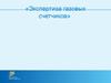 Экспертиза газовых счетчиков