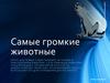Самые громкие животные